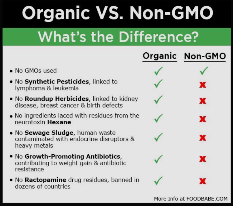 The Medical Reasons For Choosing Organic Vs Non Organic Foods Dr Ana 