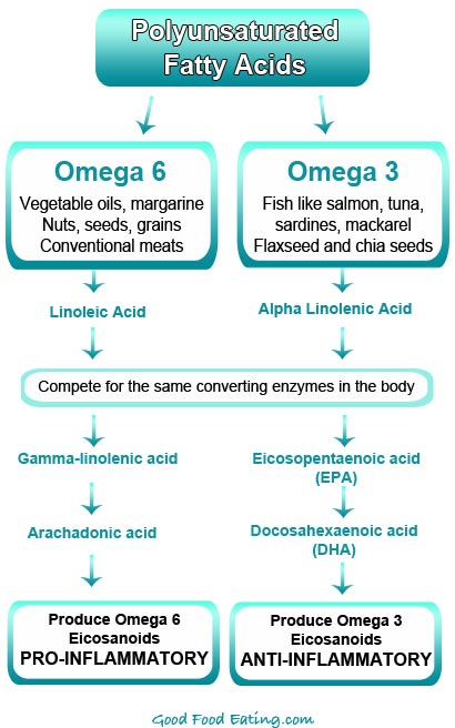 Omega-3-vs-Omega-6-Fatty-Acids.jpg