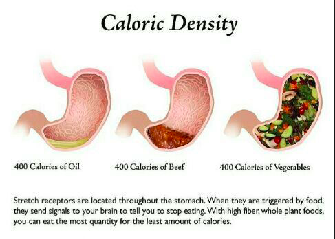 caloric-density