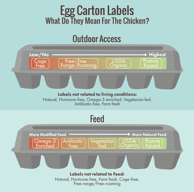 egg-carton-labels.png