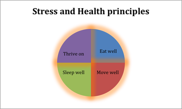 Healthy Life Pie Chart