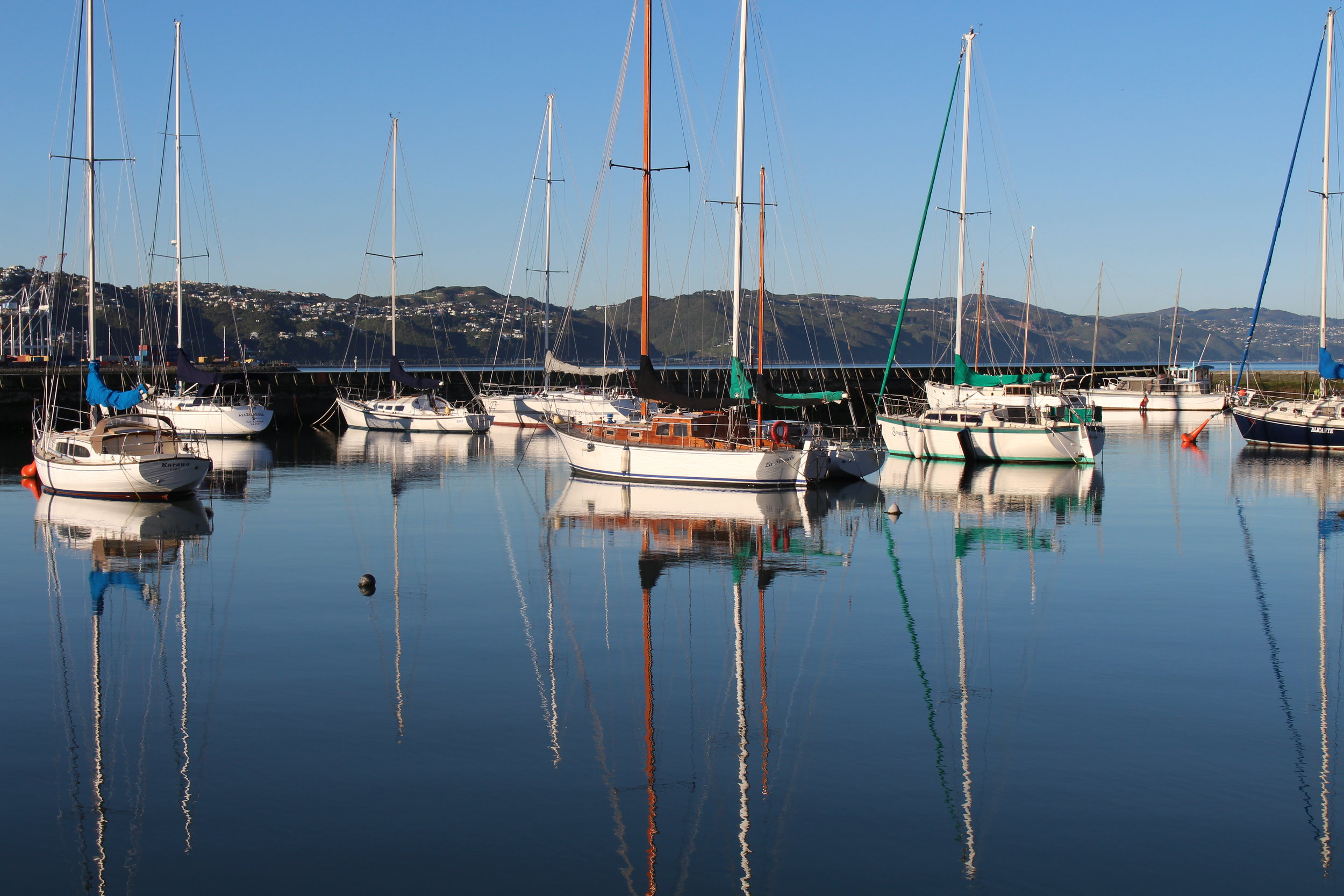 The Marina in Wellington
