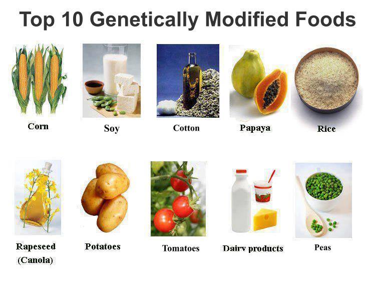 top-10-gmo-foods.jpg