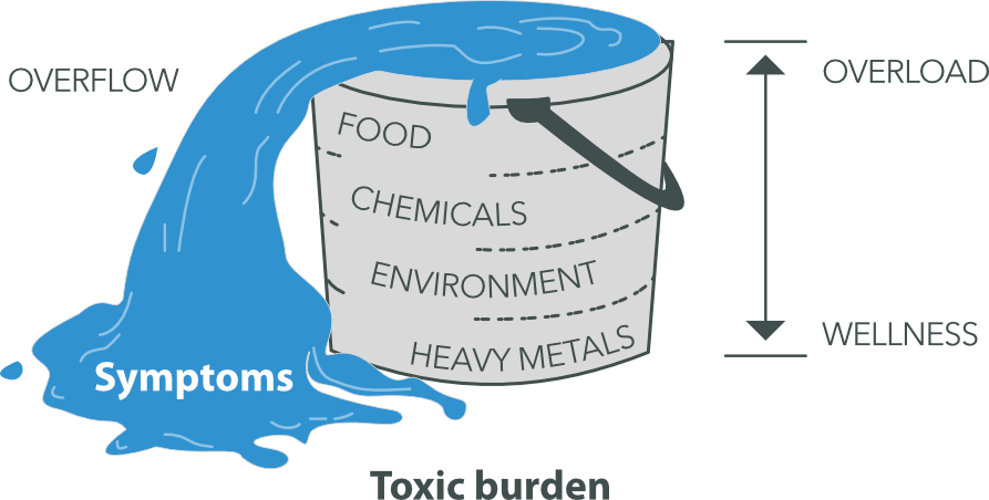 toxic_burden bucket.png