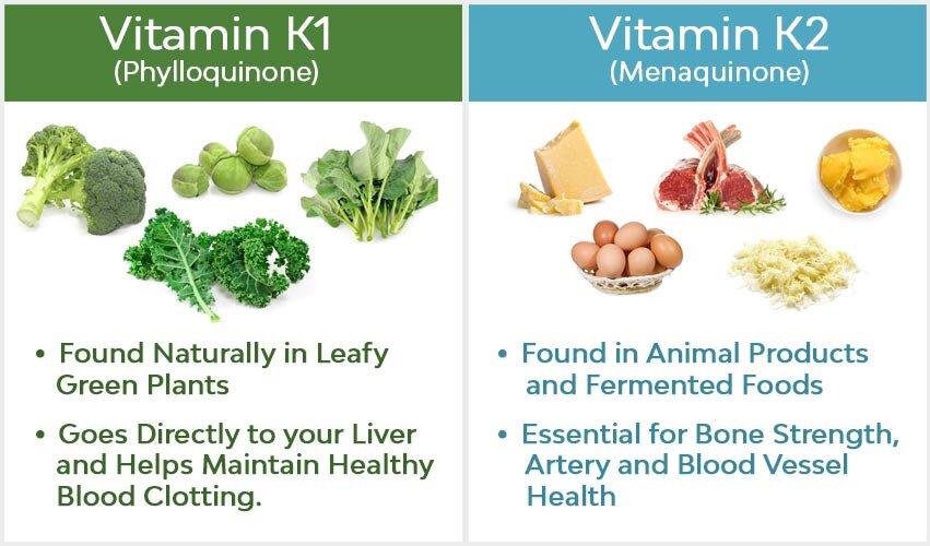 vitamin-k1-vs-vitamin-k2-2.jpeg